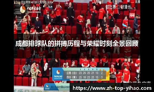 成都排球队的拼搏历程与荣耀时刻全景回顾